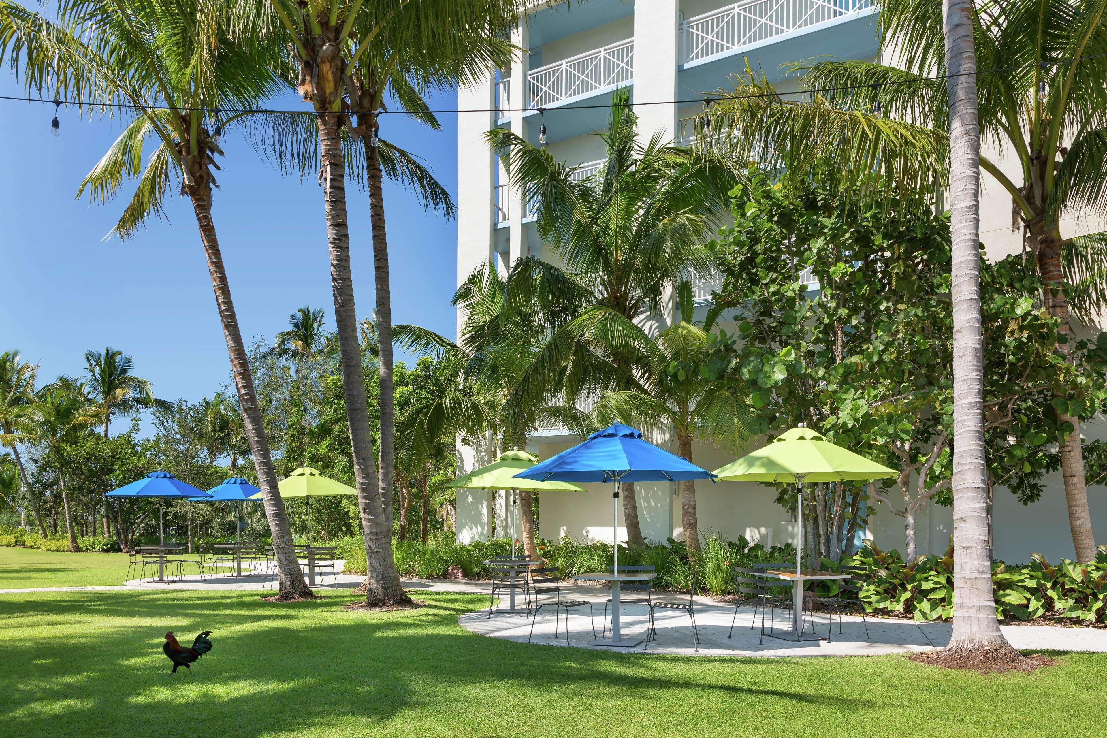 Hilton Garden Inn Key West / The Keys Collection Eksteriør bilde